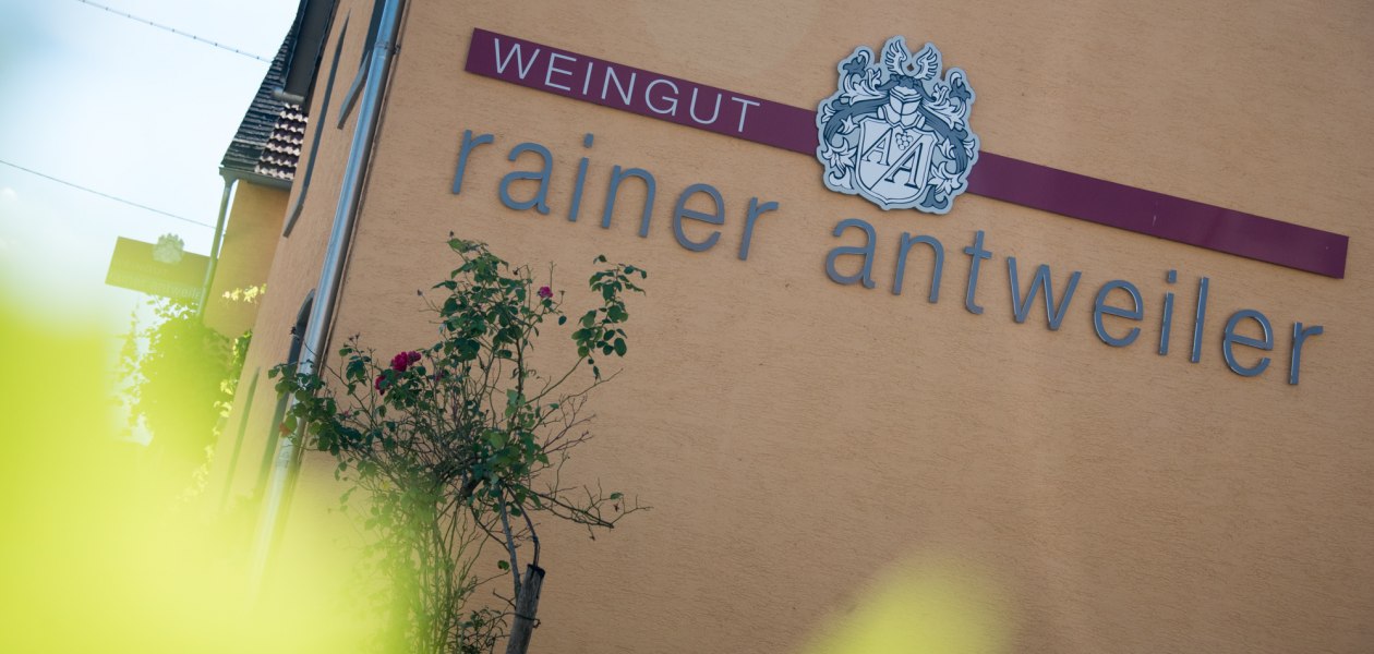 winery-antweiler4, © Weingut Antweiler