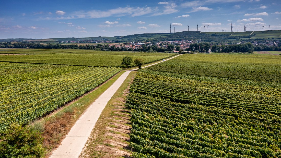 Flonheimer Binger Berg