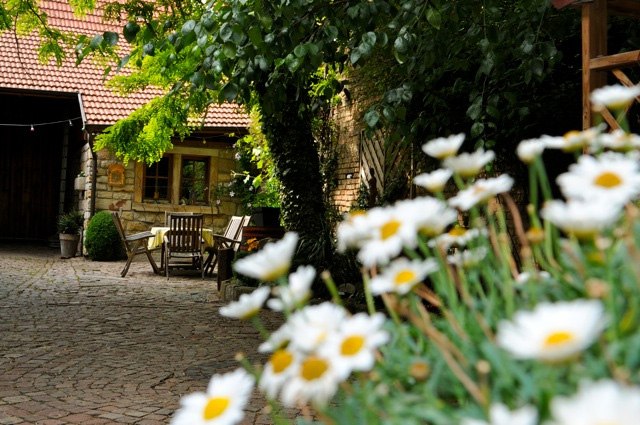 Zitplaats op de binnenplaats, © Weingut Dechent