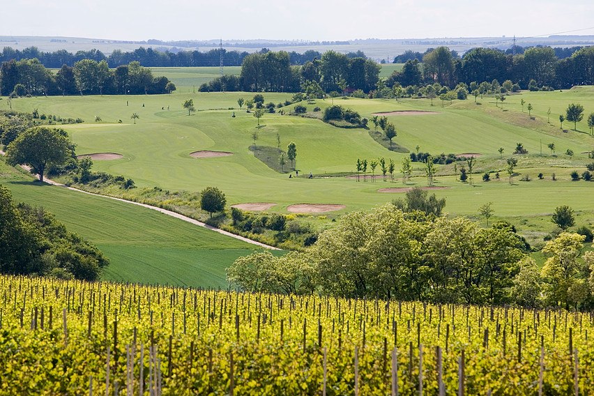 golf-Domtal, © Weingut Becker