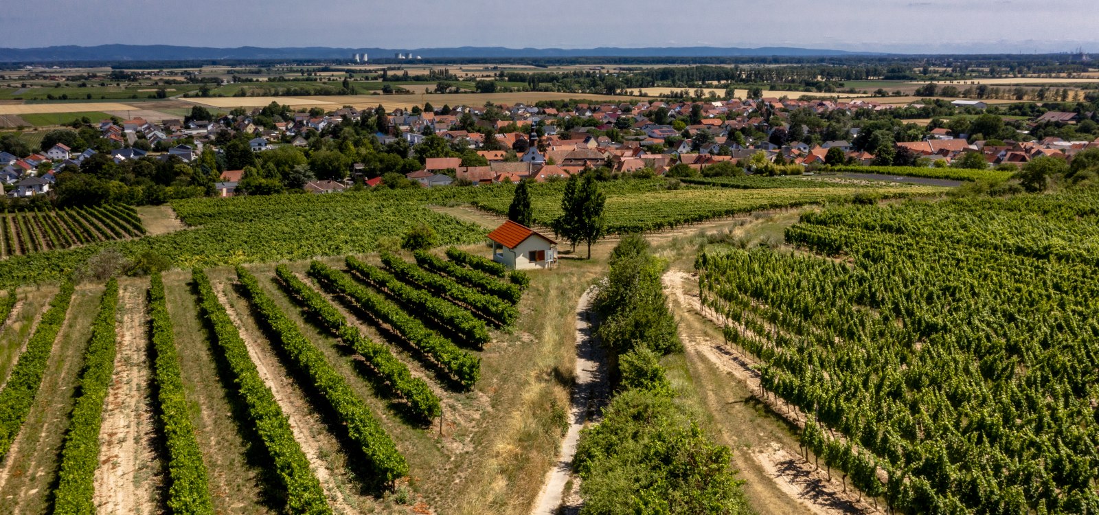 Mettenheimer Schlossberg