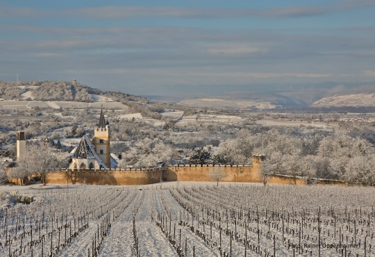 In beautiful, clear winter weather you have a fantastic view from the Mainzer Berg over the Burgkirchenglände and the surroundings. In the distance you can see the Kandrich in the Ingelheim forest and into the Rhine valley., © Rainer Oppenheimer