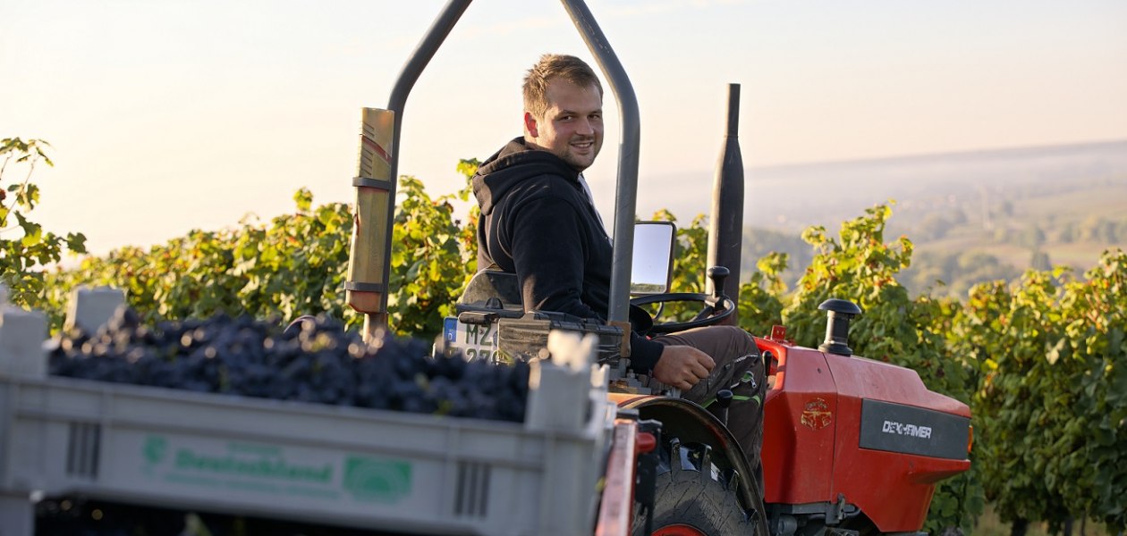 Weingut Baum-Barth_Traktor, © Weingut Baum-Barth