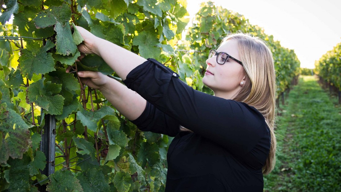 jana-kopp, © Weingut Sternenfelserhof