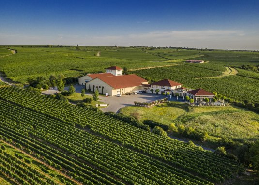 Weingut Raddeck Nierstein