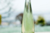 Gut Erbes_Sauvignon_blanc, © Gut Erbes