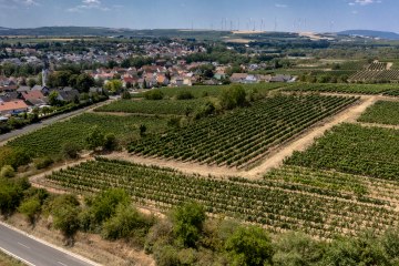 Monsheimer Rosengarten