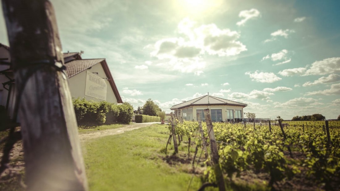 buitenkant-vinotheek-en-pension, © Weingut Hagemann