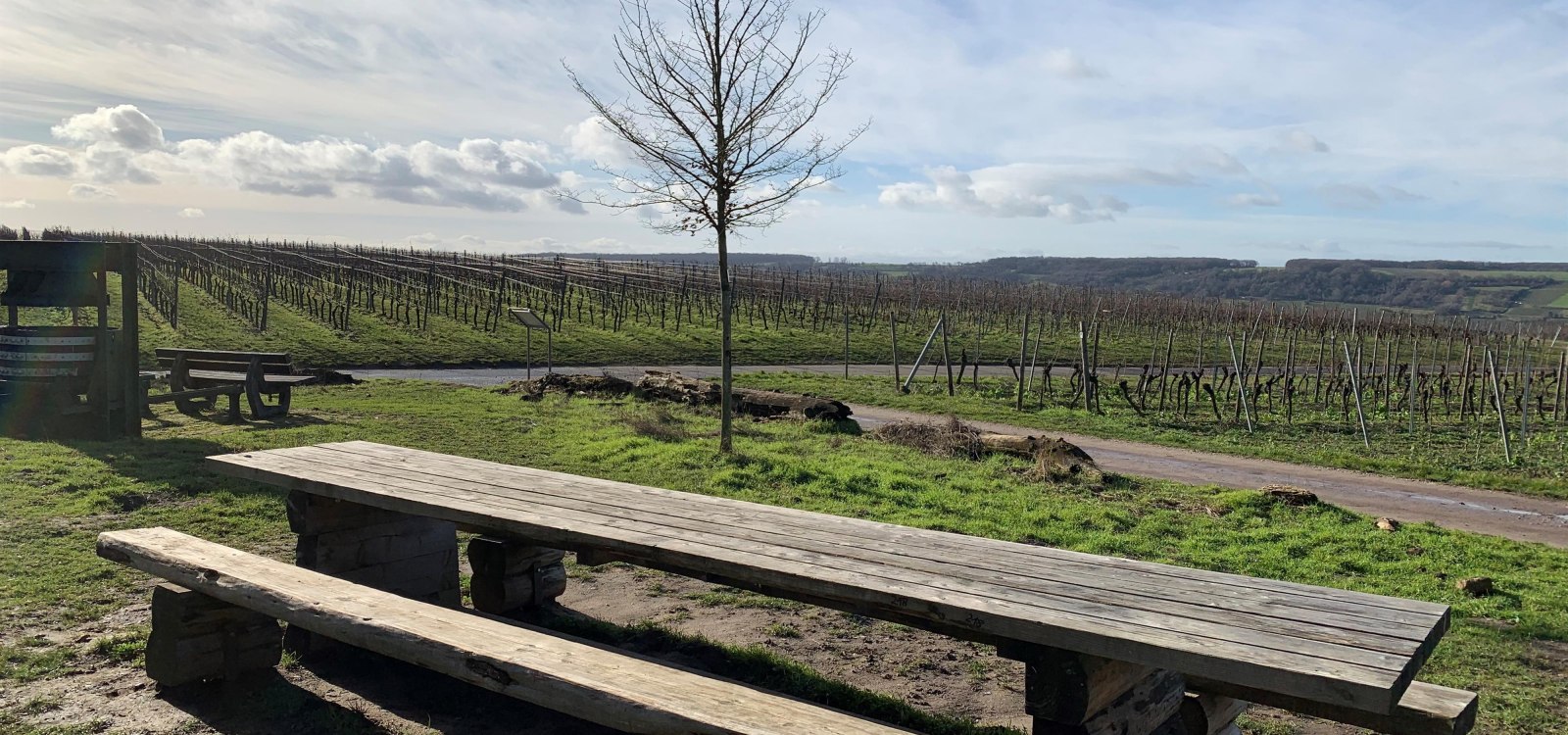 Tisch des Weines an der Weinmeile, © Petra Julius/Stadt Ingelheim