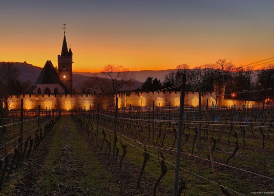 Burgkirchengelände © Rainer Oppenheimer/Stadt Ingelheim