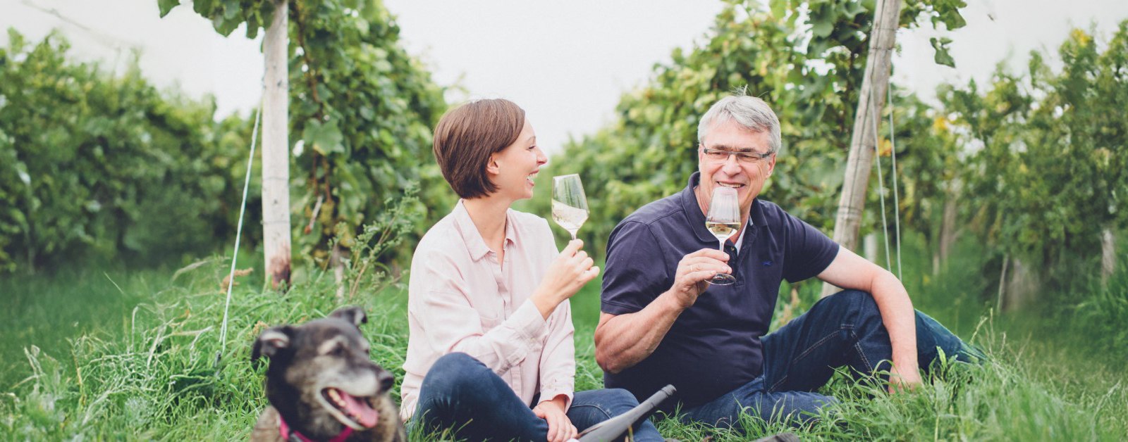 Weingut Hauck Kopie