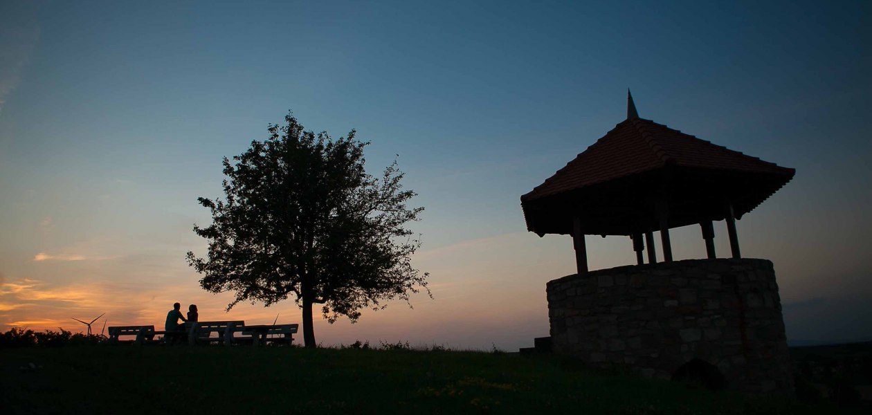 Weingut Lawall-Stöhr_Weinberg, © Weingut Lawall-Stöhr