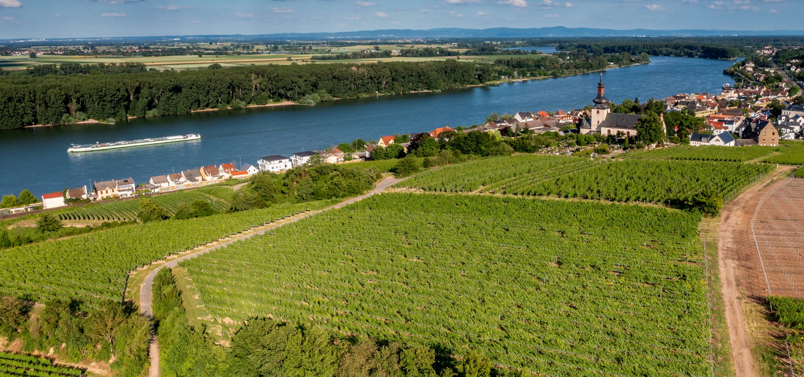 Niersteiner Kranzberg