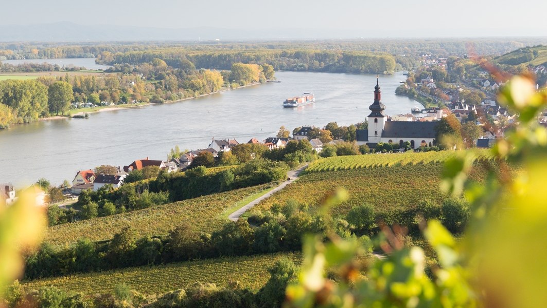 nierstein-0145675_georg-knoll-30, © Weingut Heise am Kranzberg