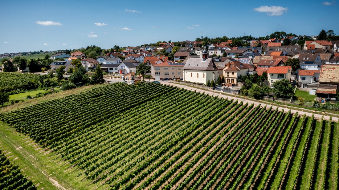 Ober-Olmer Kapellenberg