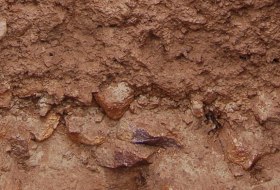 Vulkanstein Rigosol, © Landesamt für Geologie und Bergbau Rheinland-Pfalz