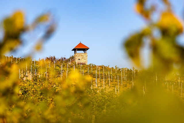 © Weingut Eckert