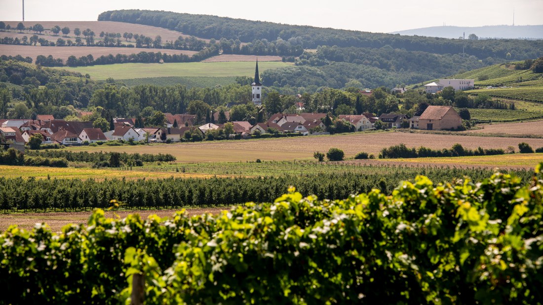 Flonheimer Binger Berg