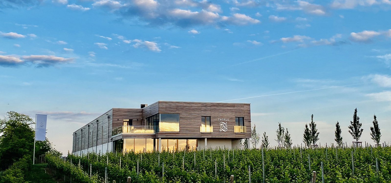 Weingut Thörle_Gebäude, © Weingut Thörle