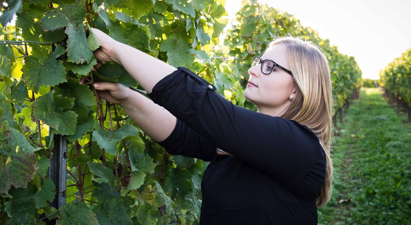 jana-kopp, © Weingut Sternenfelserhof