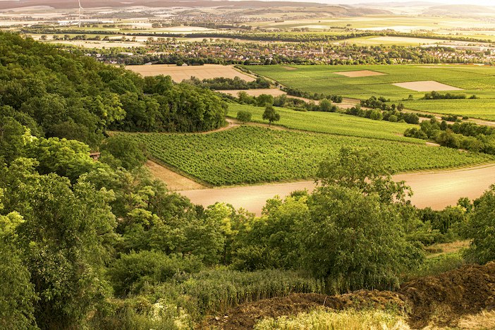 Weingut Schottenhof_Ausblick, © Weingut Schottenhof