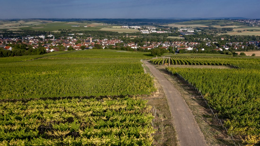 Nieder-Olmer Klosterberg