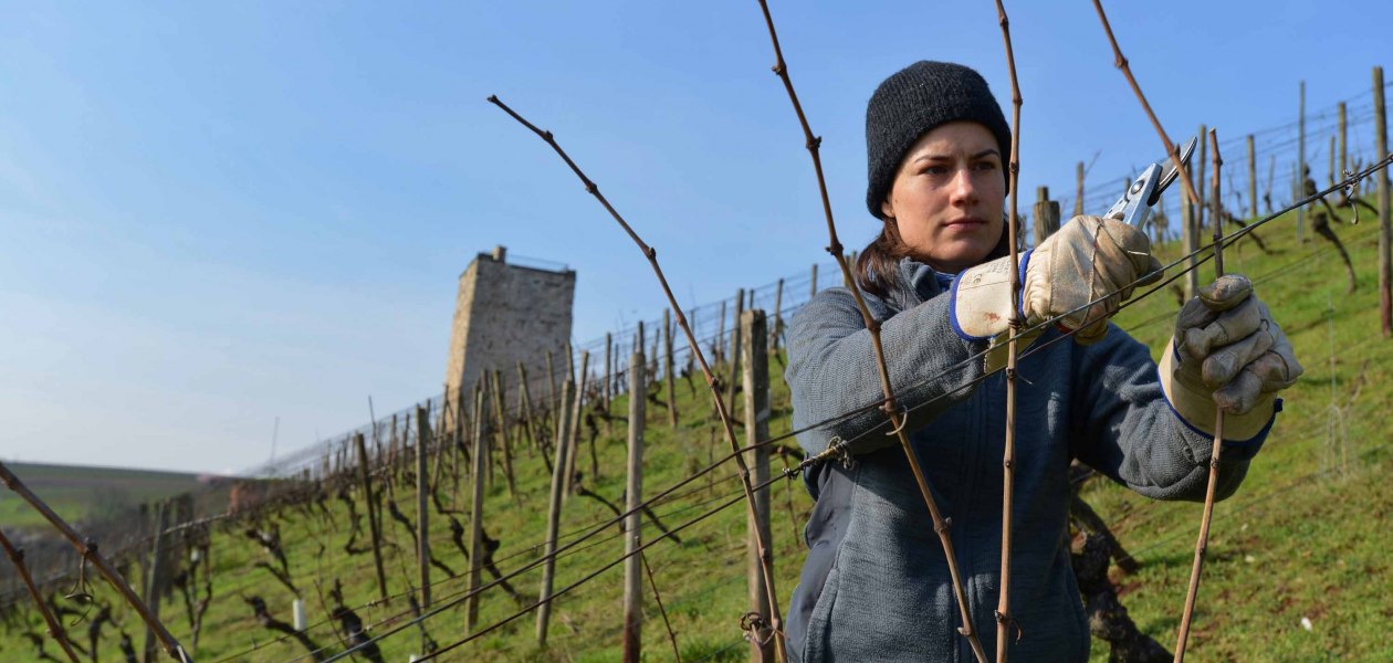 Weingut Fritz Ekkehard Huff_Winzerin, © Weingut Fritz Ekkehard Huff