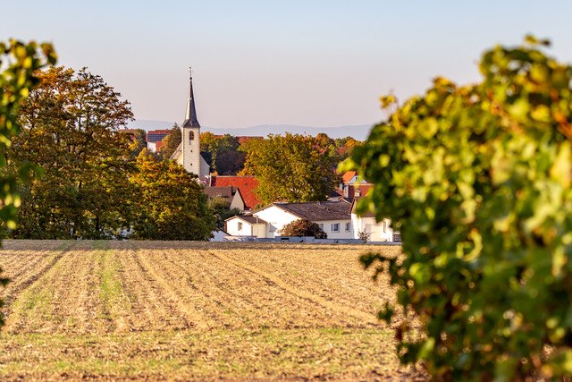 Weingut Eckert_Feld, © Weingut Eckert