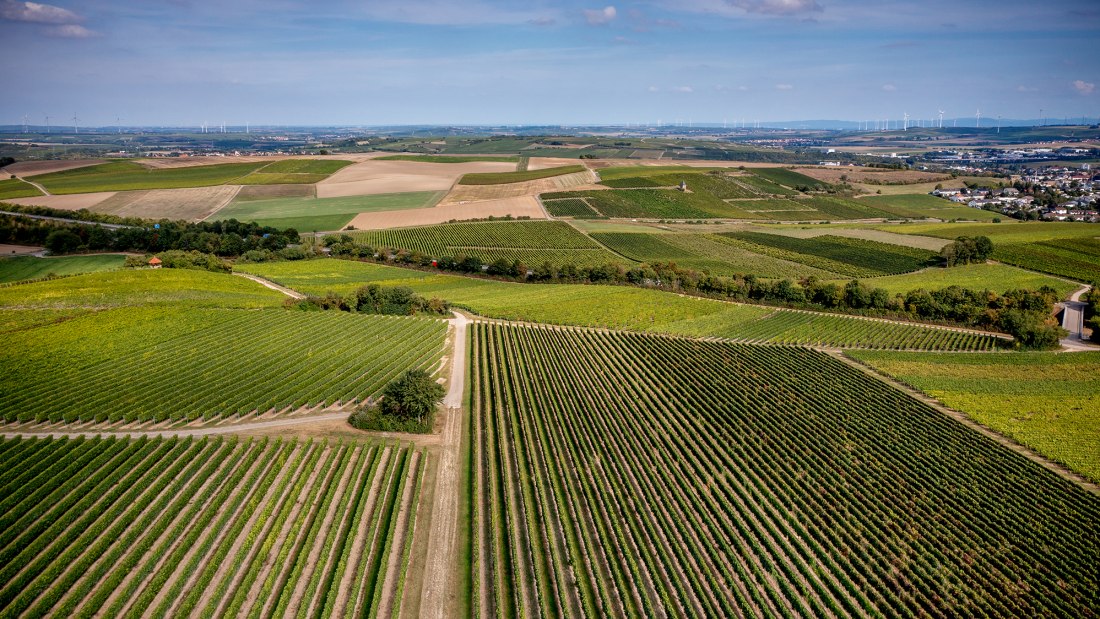 Alzeyer Rotenfels