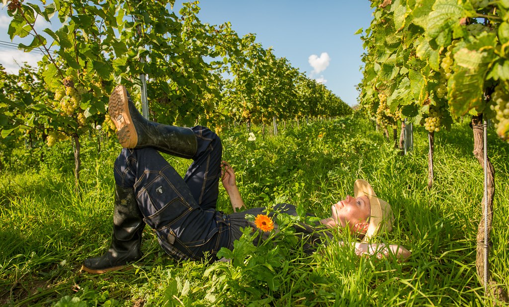 Weingut Schönhals_Gruüeberufe, © Weingut Schönhals