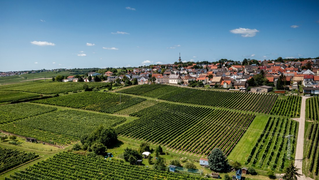 Ober-Olmer Kapellenberg