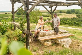 Pichnick im Weinberg