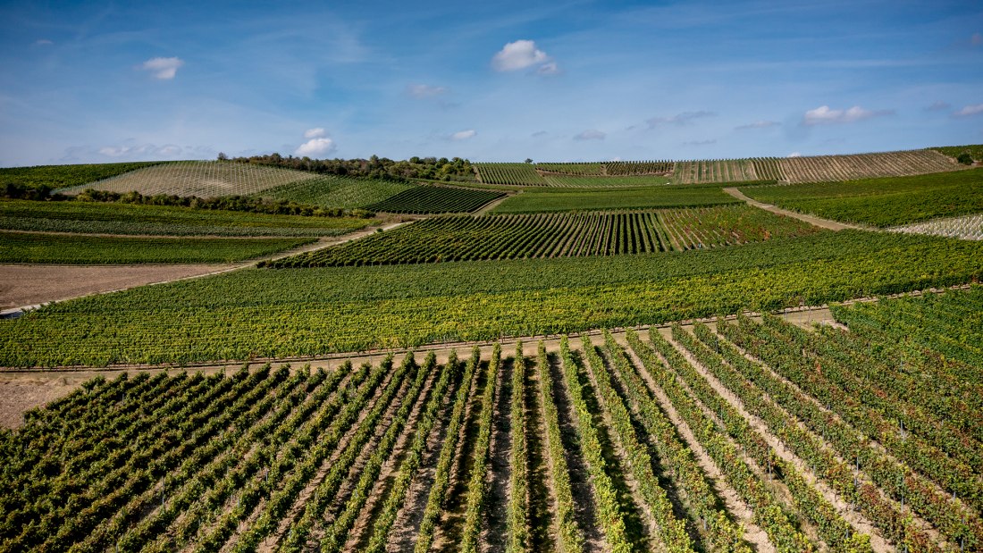 Alzeyer Rotenfels