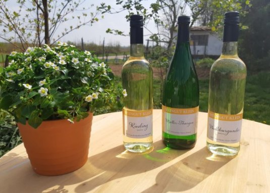 Weingut Klein_Weinflaschen © Weingut Klein