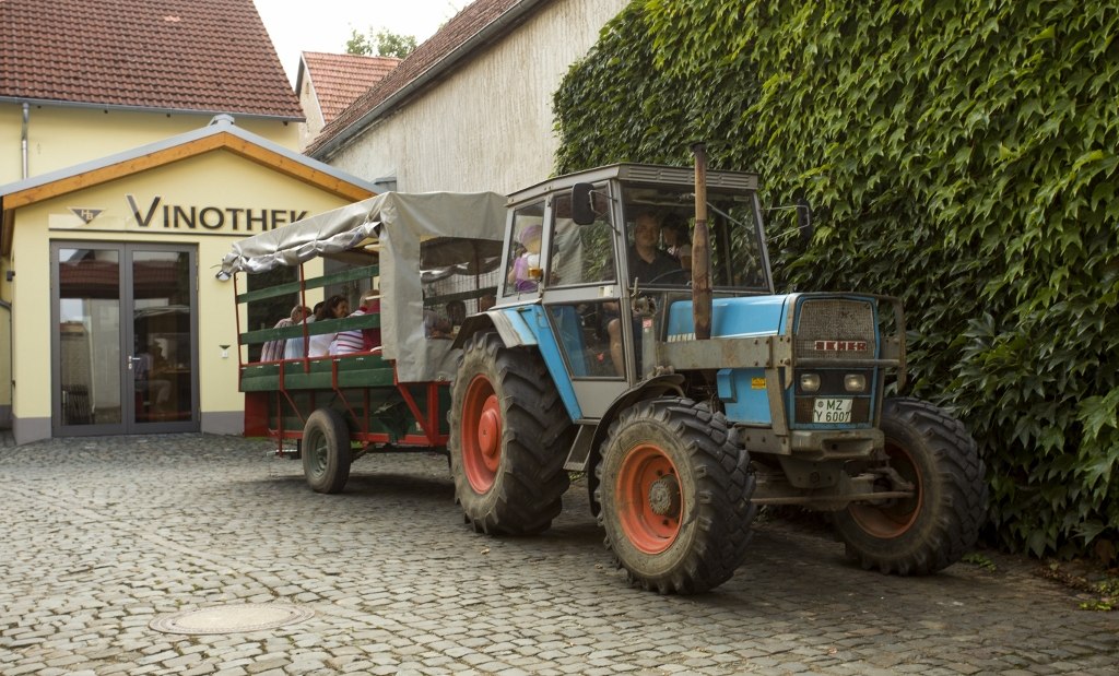 05102014_weingut-best-2072-1024x683, © Weingut Helmut Best