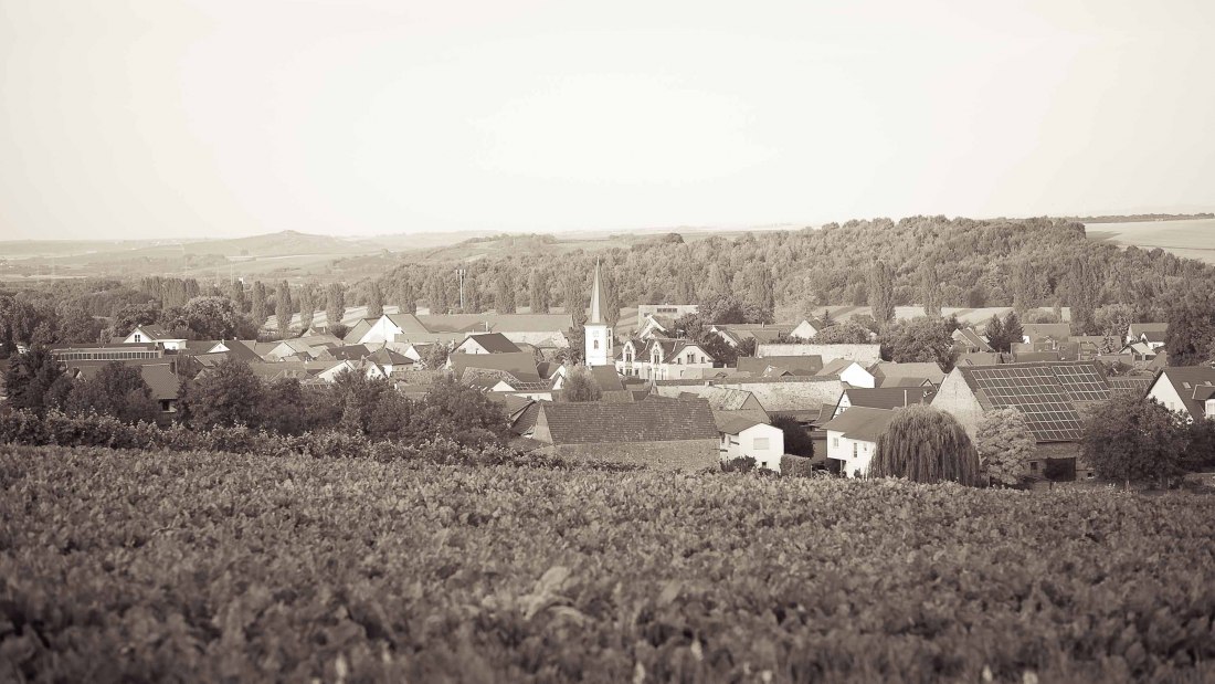 Lawall-stoehr_C-23, © Weingut Lawall-Stöhr