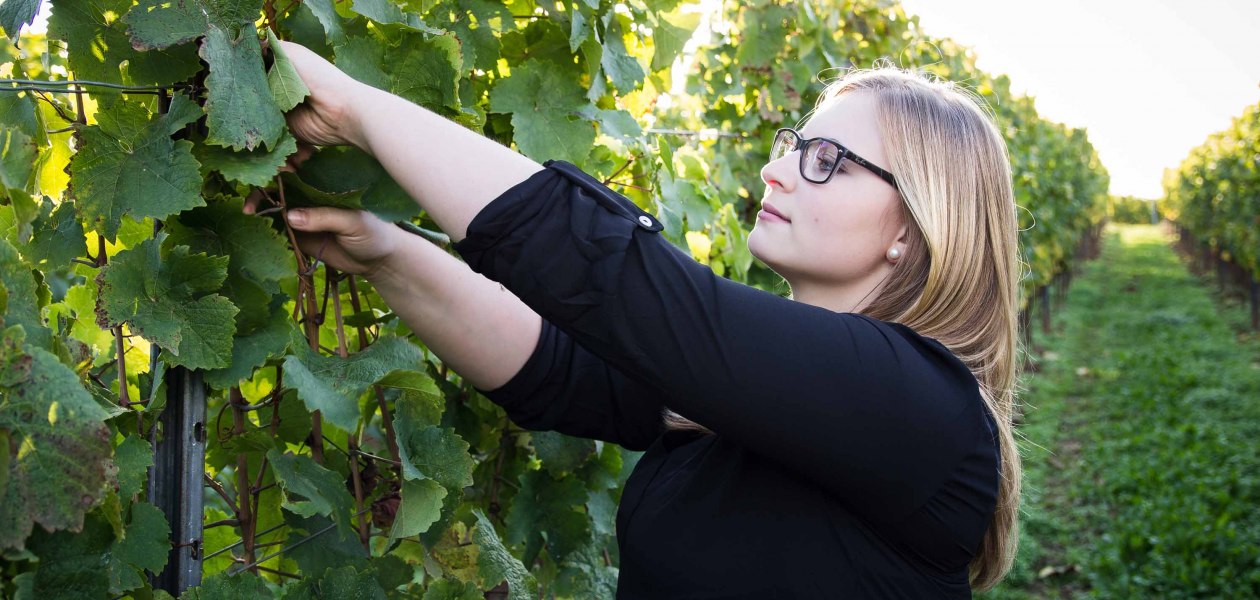 Weingut Sternenfelserhof_Jana Kopp, © Weingut Sternenfelserhof