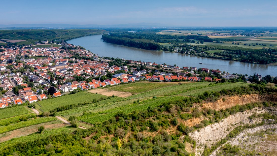 Niersteiner Parterberg-DJI_0229-171, © Torsten Silz