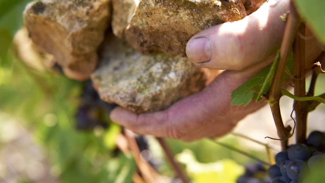 Michel-Pfannebecker, © Weingut Michel-Pfannebecker