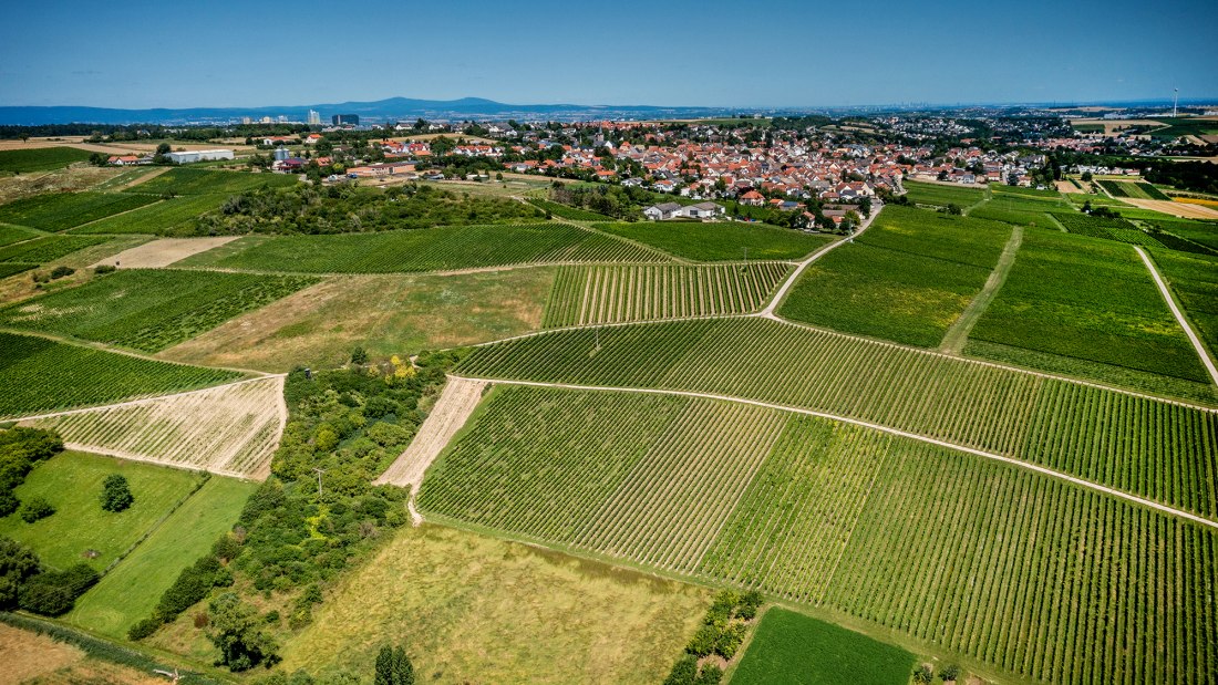 Ober-Olmer Kapellenberg