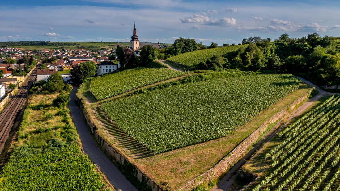 Niersteiner Zehnmorgen