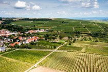 Hangen-Weisheimer Sommerwende