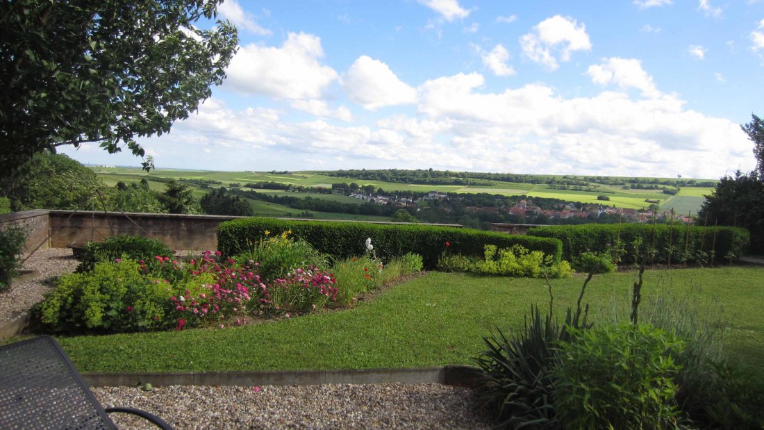 Winery Spindler Garten1I, © Vereinigte Weingüter Spindler und Möllinger