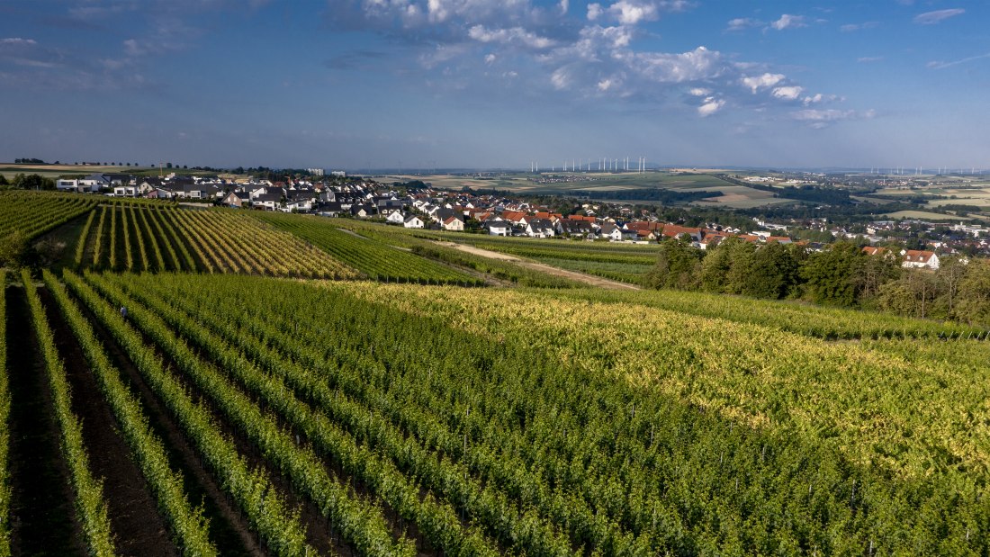 Nieder-Olmer Klosterberg