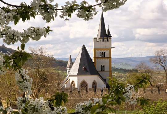 Frühling in Ingelheim 1, © Rainer Oppenheimer/Stadt Ingelheim