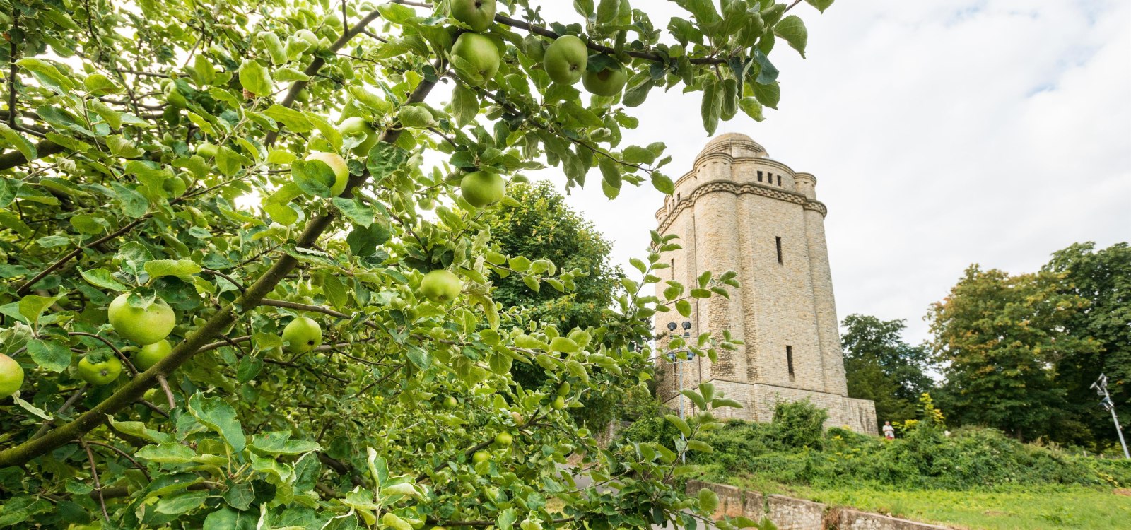 Bismarckturm Ingelheim, © Dominik Ketz