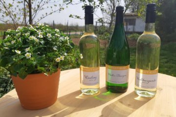 Weingut Klein_Weinflaschen, © Weingut Klein