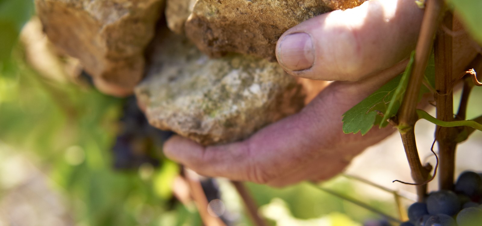 Michel Pfannebecker, © Weingut Michel-Pfannebecker