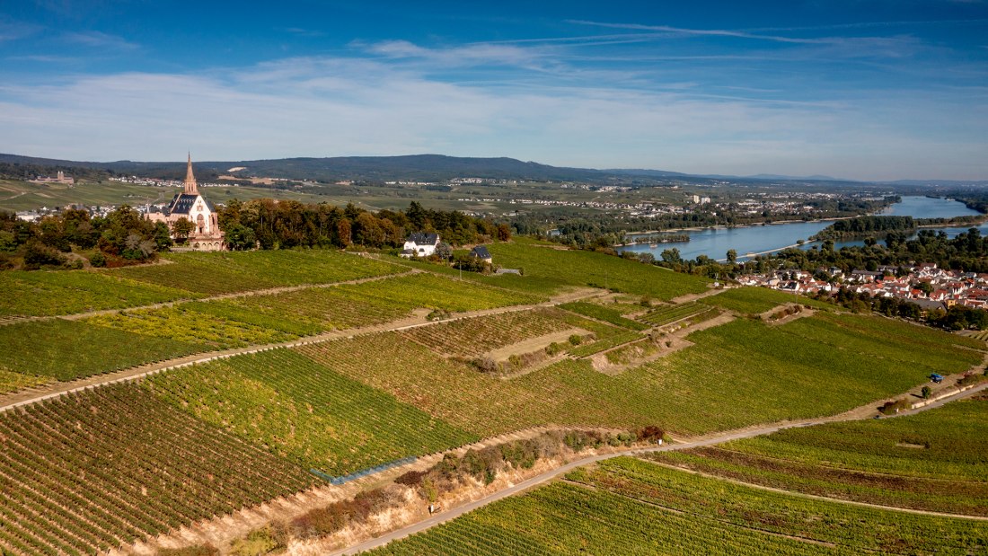 Binger Kirchberg with St. Rupert's monastery