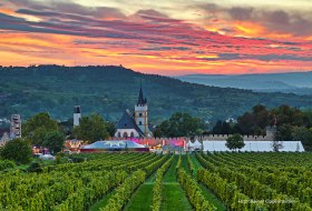 View of the Red Wine Festival grounds from the vineyards at sunset. You can see the festival grounds around the castle church, the Westerberg with the Bismarck Tower in the background and the Rhine valley. © Rainer Oppenheimer/IKuM GmbH